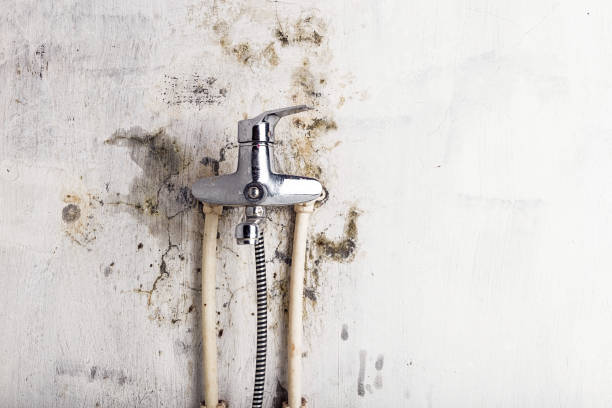 Water Damage Restoration in Lake Forest, IL