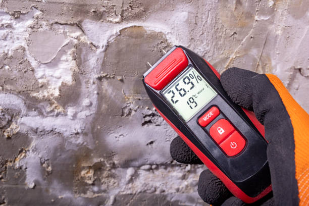 Lake Forest, IL Mold Removal Company