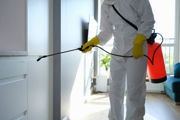 Mold Removal and Inspection in Lake Forest, IL