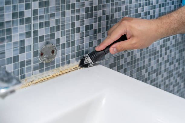 Best Mold Damage Repair  in Lake Forest, IL