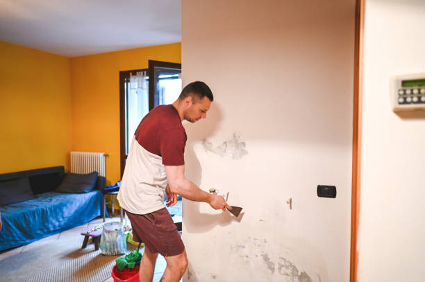 Best Water Damage Restoration  in Lake Forest, IL